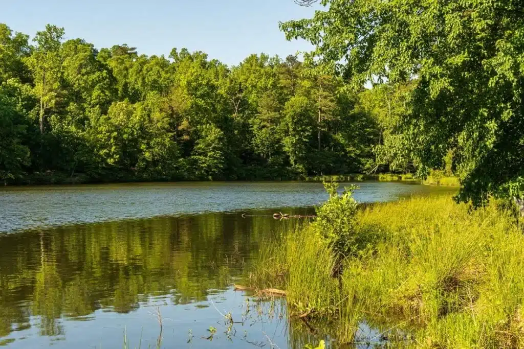 Lac de conservation de la nature - Photo de Pixabay